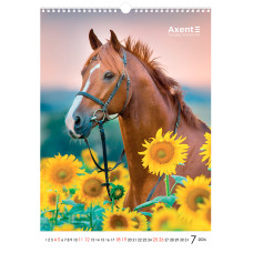 Календар настінний А3 2026, Horses