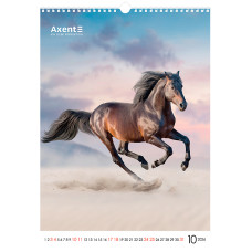 Календар настінний А3 2026, Horses