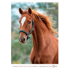 Календар настінний А3 2026, Horses