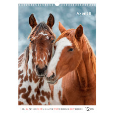 Календар настінний А3 2026, Horses
