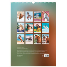 Календар настінний А3 2026, Horses