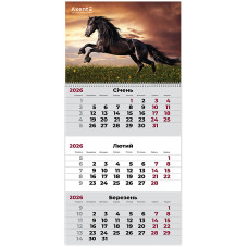 Календар настінний квартальний 2026р, 1 шт., Horses 1