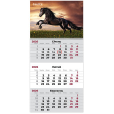 Календар настінний квартальний 2026р, 1 шт., Horses 1