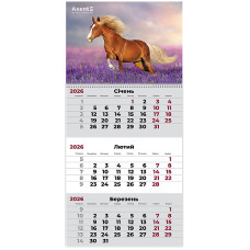 Календар настінний квартальний 2026р, 1 шт., Horses 2
