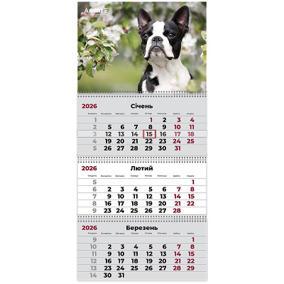 Календар настінний квартальний 2026р, 3 пр., Dogs 2