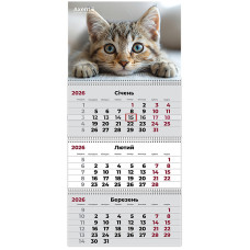 Календар настінний квартальний 2026р, 3 пр., Cats 1