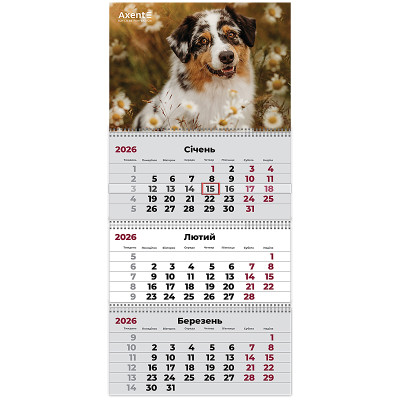 Настінний квартальний календар 2026р, 3 пр., Dogs 1