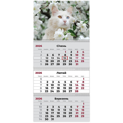 Календар настінний квартальний 2026р, 3 пр., Cats 3