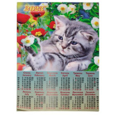 Календарь настенный 2023 А2 А-06 Котик в маках