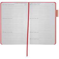 Еженедельник 2026 Partner Soft Muse, 125*195, розовый