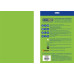 Бумага цветная INTENSIVE, EUROMAX, зеленая, 20 л., А4, 80 г/м² BM.2721320E-04