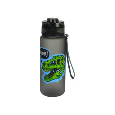 Пляшка для води Dinosaur, 500 мл, чорна