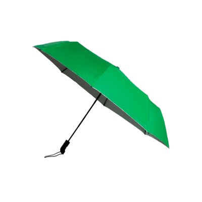 Зонт Economix E98406-04 Favorite автомат зеленый
