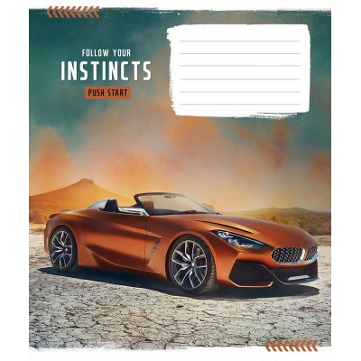 Тетрадь 12 л = в линию Школярик 2958 Л Instincts *