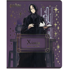 Предметний зошит 48 аркушів, клітка, фольга+УФ, HP, хімія