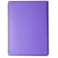 Тетрадь для записей RAIN А4, 80 л.,клетка, пластиковая обложка, фиолетовая