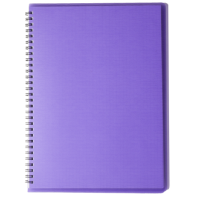 Тетрадь для записей RAIN А4, 80 л.,клетка, пластиковая обложка, фиолетовая