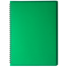 Тетрадь для записей RAIN А4, 80 л.,клетка, пластиковая обложка, зеленая