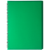 Тетрадь для записей RAIN А4, 80 л.,клетка, пластиковая обложка, зеленая