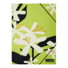 Папка А4 на гумках, PLUMERIA ARABESKI, напівпрозора, салатова Папка А4 на гумках, PLUMERIA ARABESKI, напівпрозора, салатова