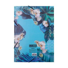 Папка на резинке A4, EXOTIC, ARABESKI, голубая