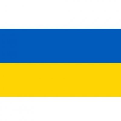 Флаг Украины (1000 х 1500) усиленный 60213