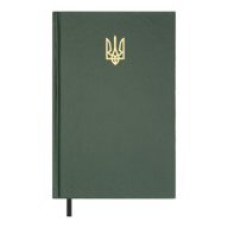 Щоденник недат. AIRY , A5, зелений , бумвініл, 336 стор
