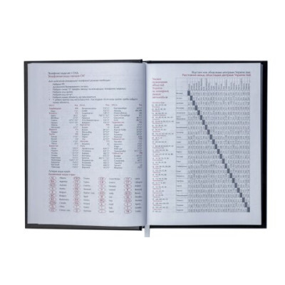 Ежедневник недатированный BRILLIANT, A5, бордовый BM.2055-13