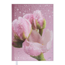 Щоденник недат. POSH, A5, рожевий