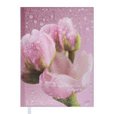 Щоденник недат. POSH, A5, рожевий - BM.2013-10