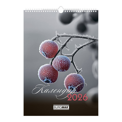 Календар настінний 2026 р., А3, 1 пружина, Emphasis on color