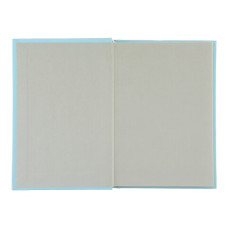 Записна книжка FAVOURITE, PASTEL, А6, 96 арк., кліт, офсет крем, тв. лам. обкл., блакитна