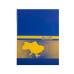 Книга канцелярская UKRAINE, А4, 192 л., клетка, офсет, твердая ламинированная обложка, ассорти BM.2404