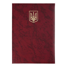 Папка 