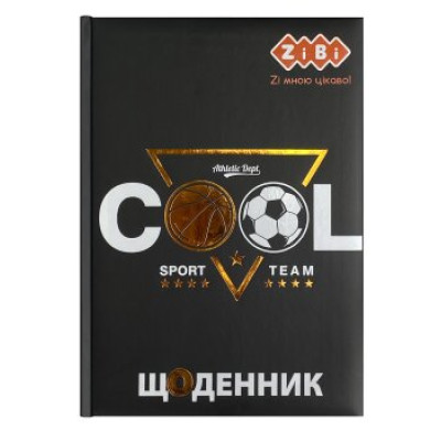 Дневник школьный TEAM, В5, 48 л., тверд. обл. \